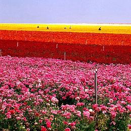 《火影忍者：终极风暴羁绊》发布原创剧情模式预告