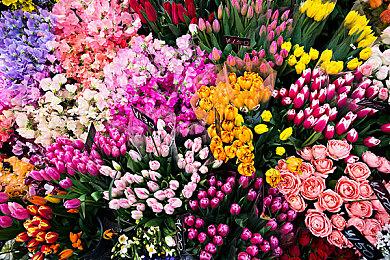 消息称重启版《神鬼寓言》将在本世代末期发售